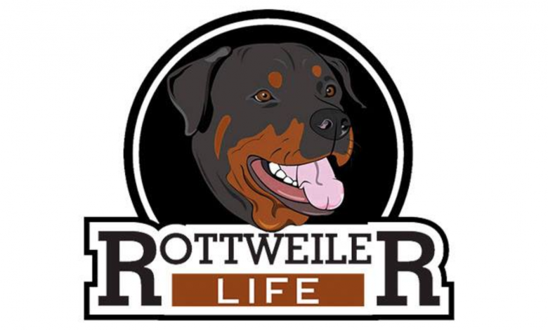 罗威纳犬的生活针对罗威纳犬主人的第一个也是最受欢迎的网站