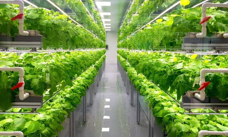 植物温室栽培技术与获利能力之间的联系