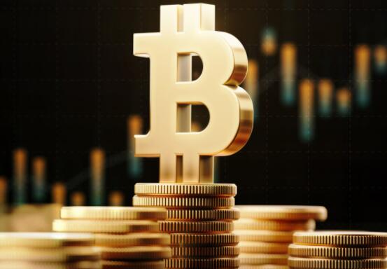 您应该将401k投资于加密货币吗