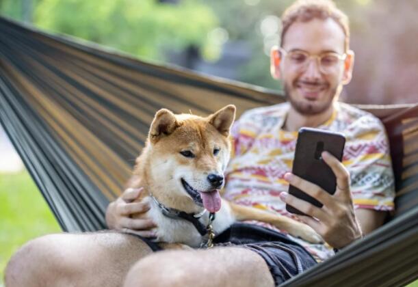 在过去的几天里柴犬币的官方推特账号发布了一些重大声明